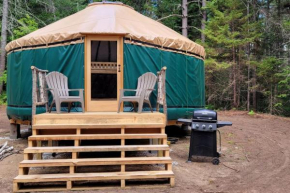 Allie Mae Yurt nestled in the woods